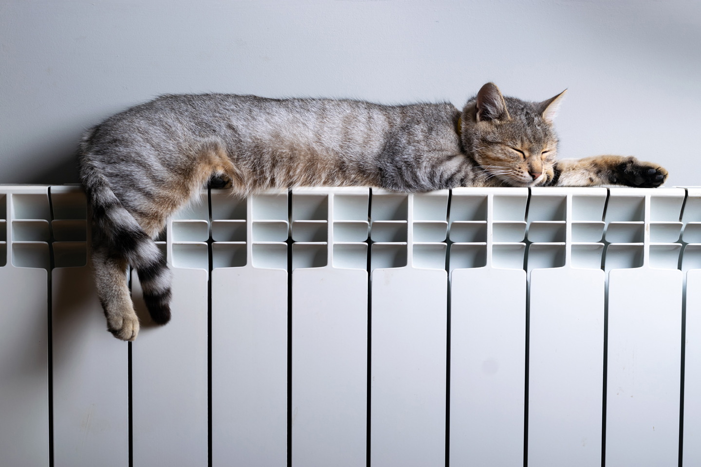 A tiger striped cat laying on top of a radiator 