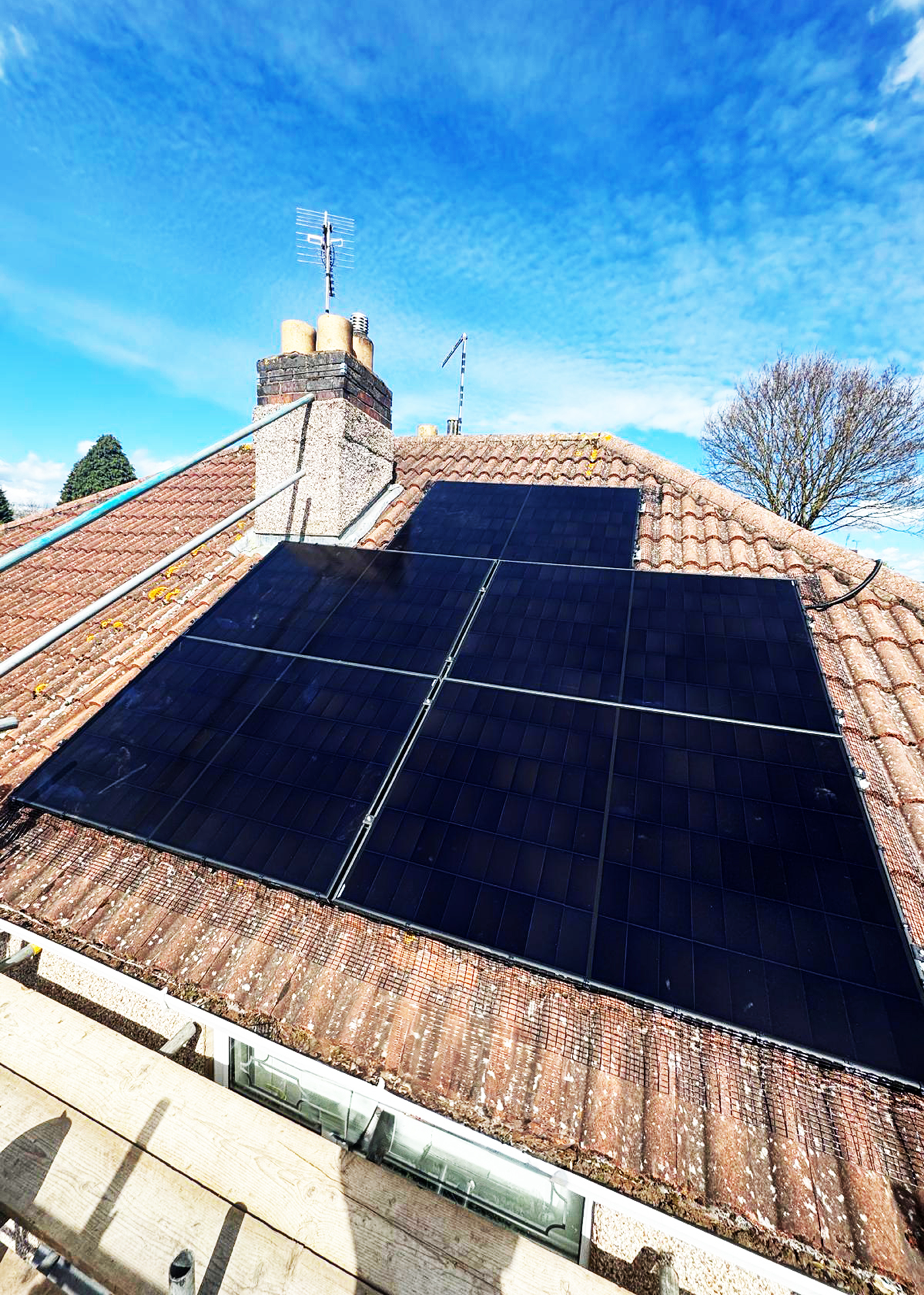 Solar panels, with bird guard, on a sloping roof